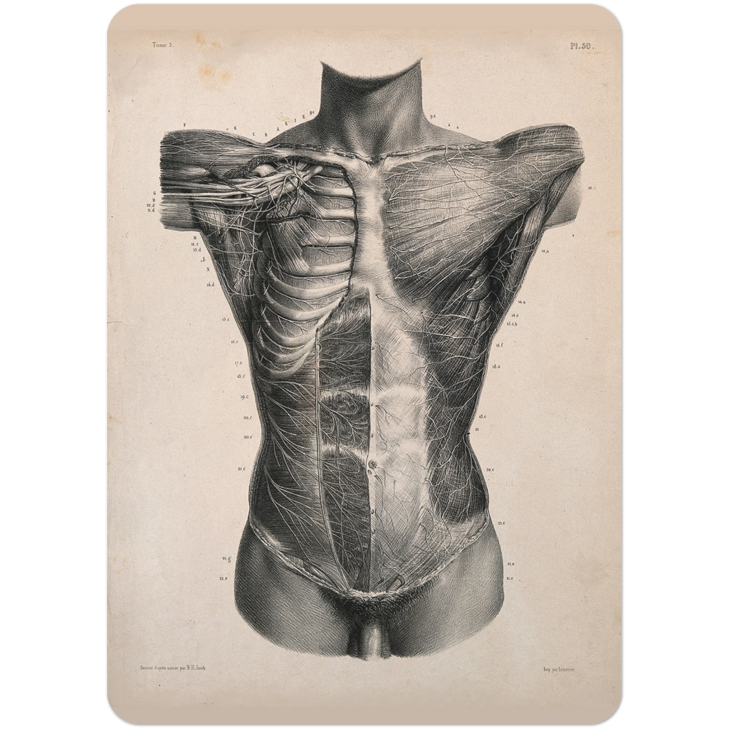 f1b794f4-8052-4332-987c-6819de6cf40d