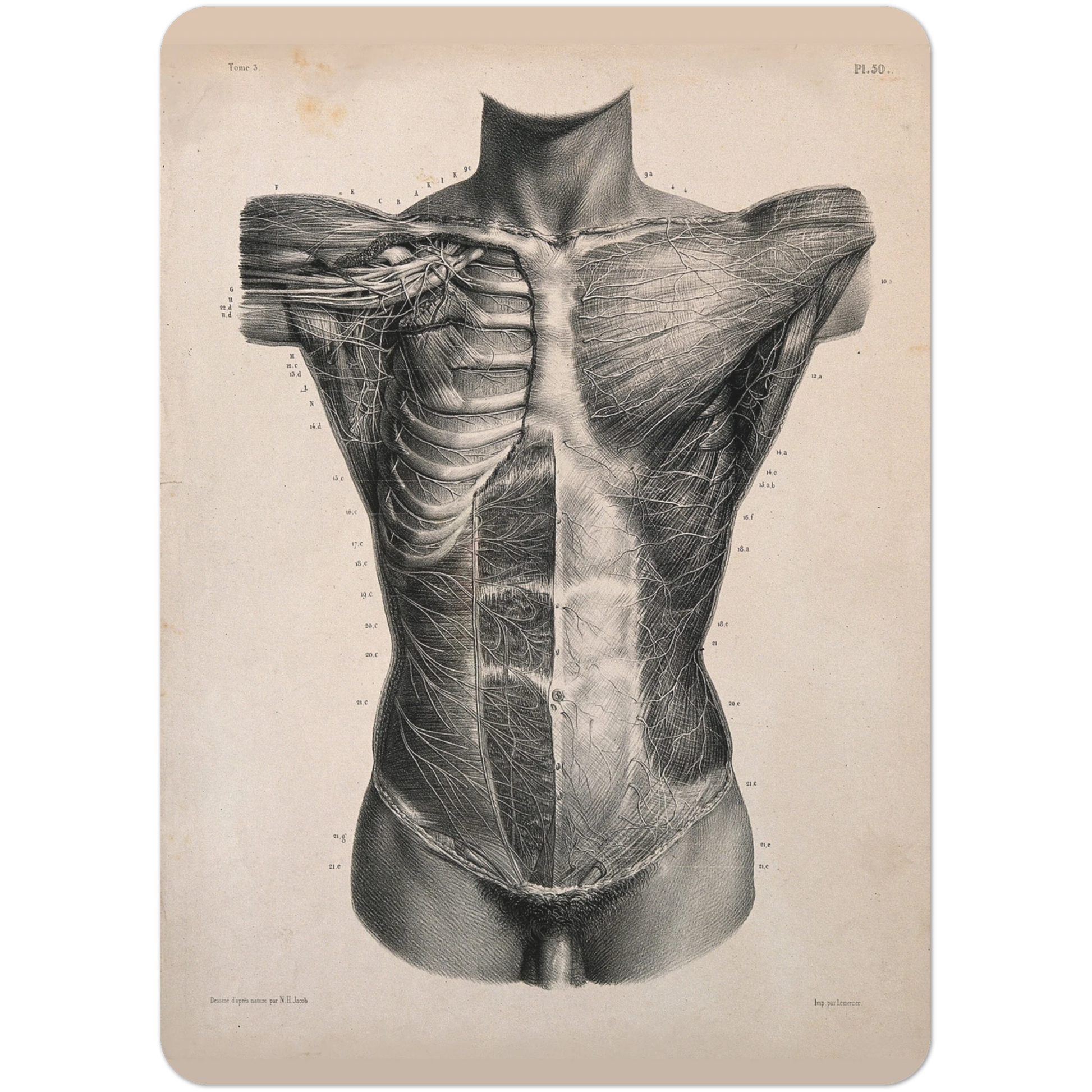 f1b794f4-8052-4332-987c-6819de6cf40d