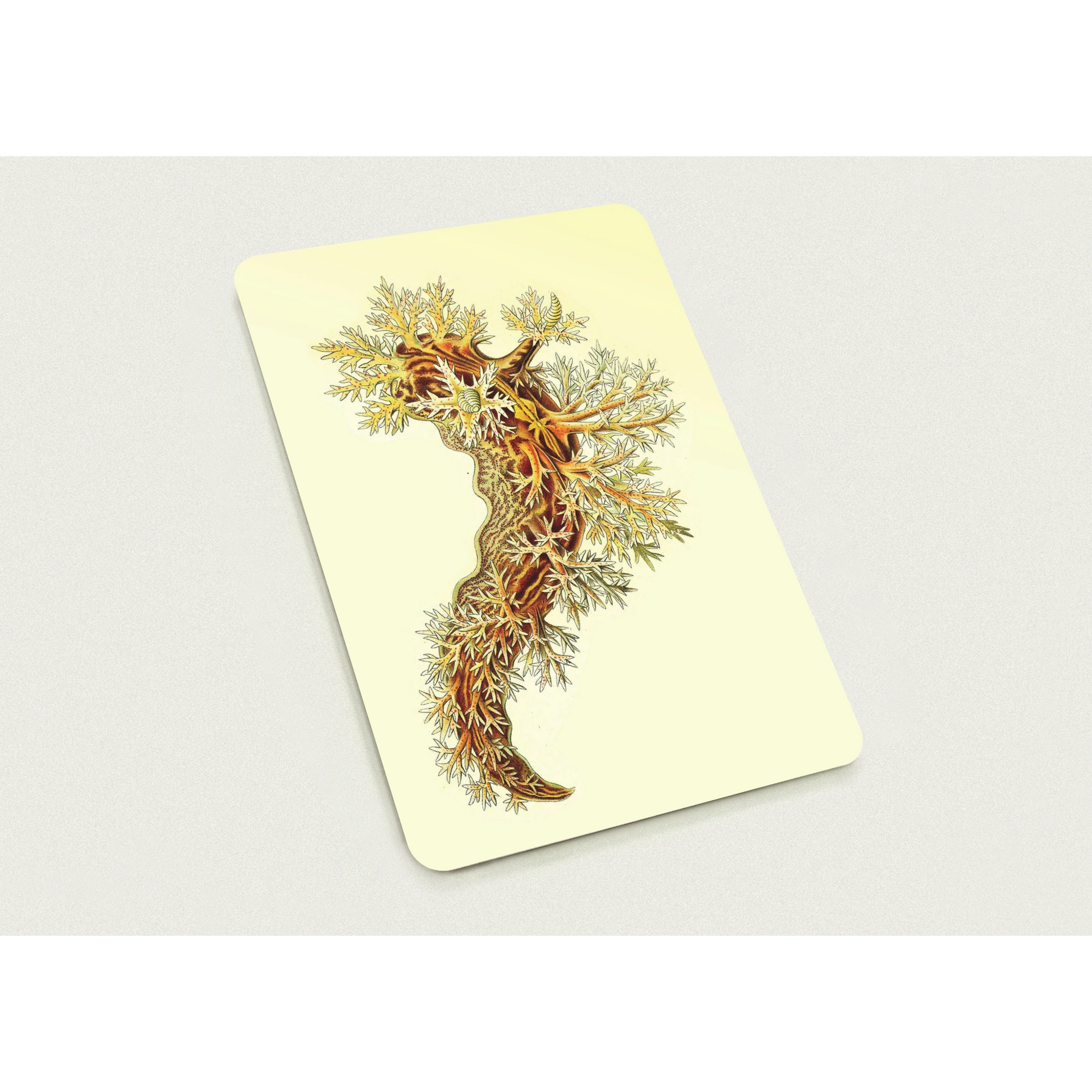 f2b6b99d-764a-42e8-a1c2-f194fb802c9d