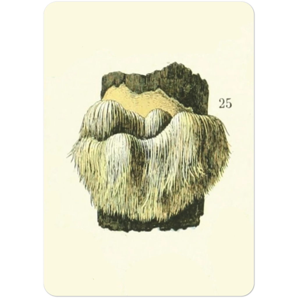 f2ebef2b-af74-449f-949d-9b54d905088c