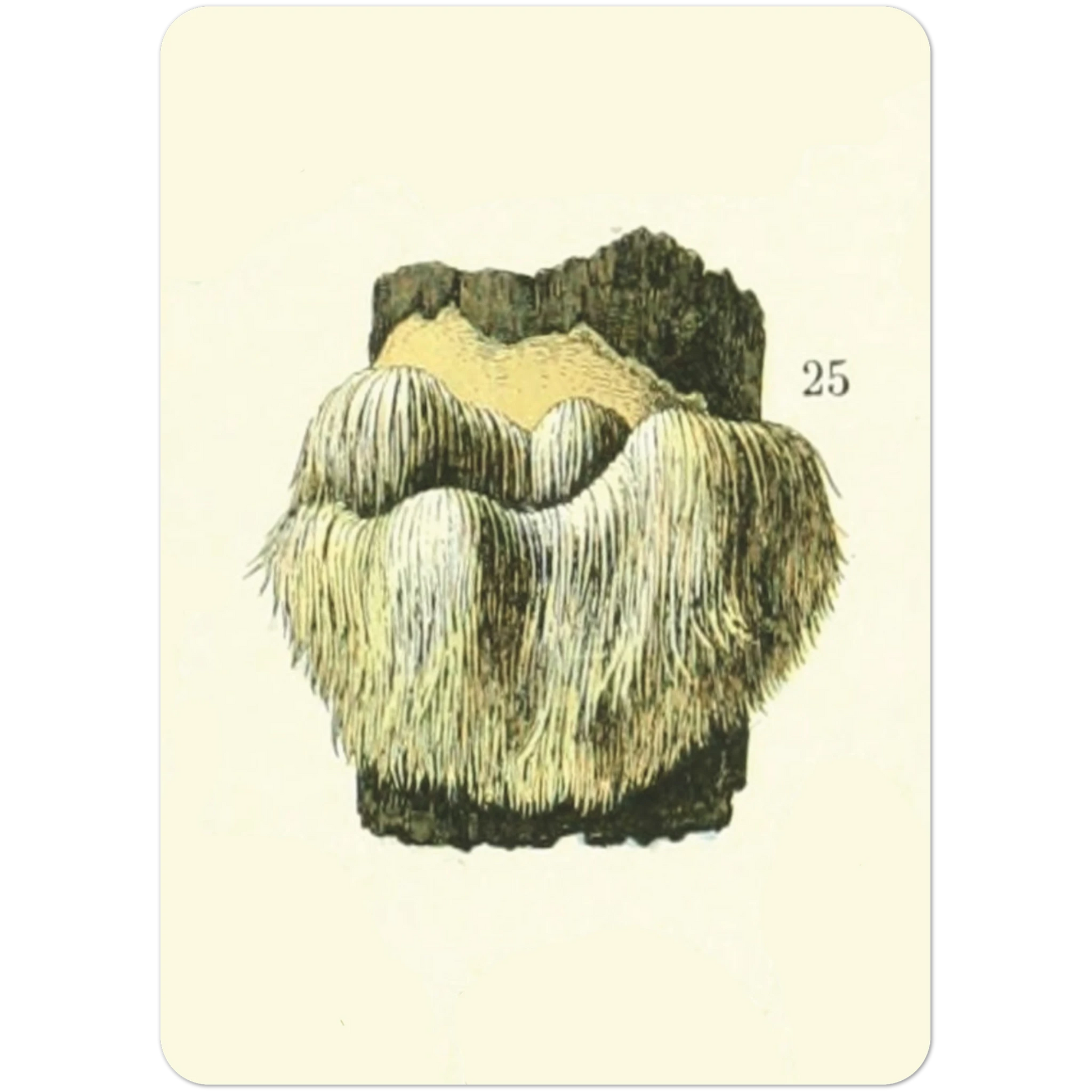 f2ebef2b-af74-449f-949d-9b54d905088c