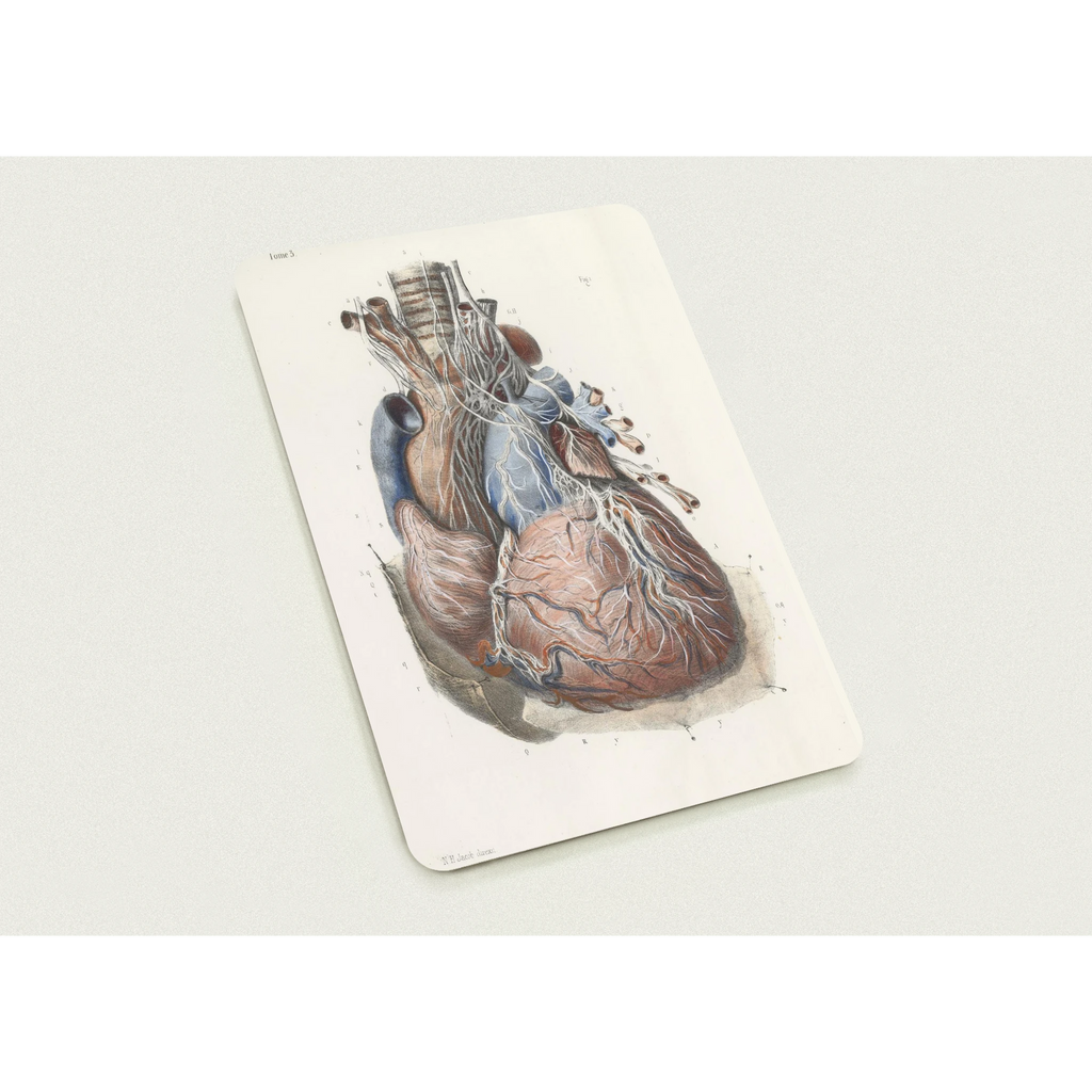 f719b7aa-c9df-437f-8275-7472403f7ddf