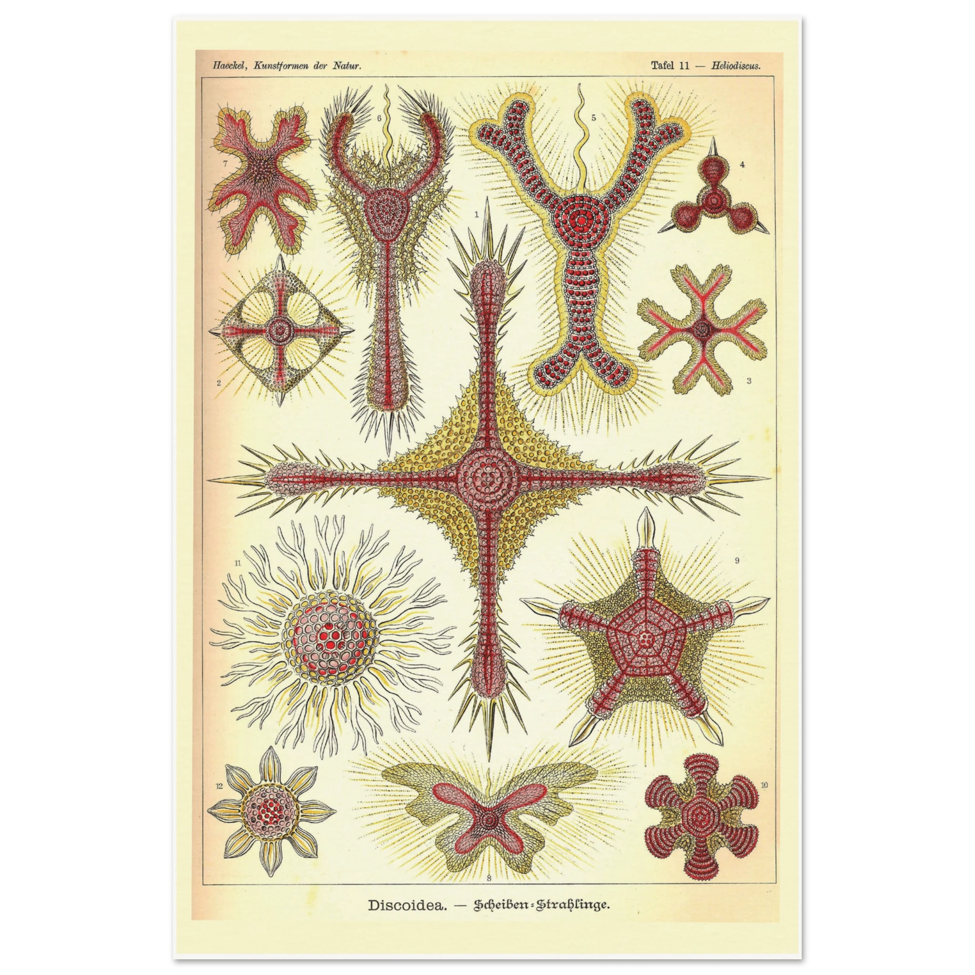 fa095fb9-feea-4fb7-9e2e-021f9939d22c