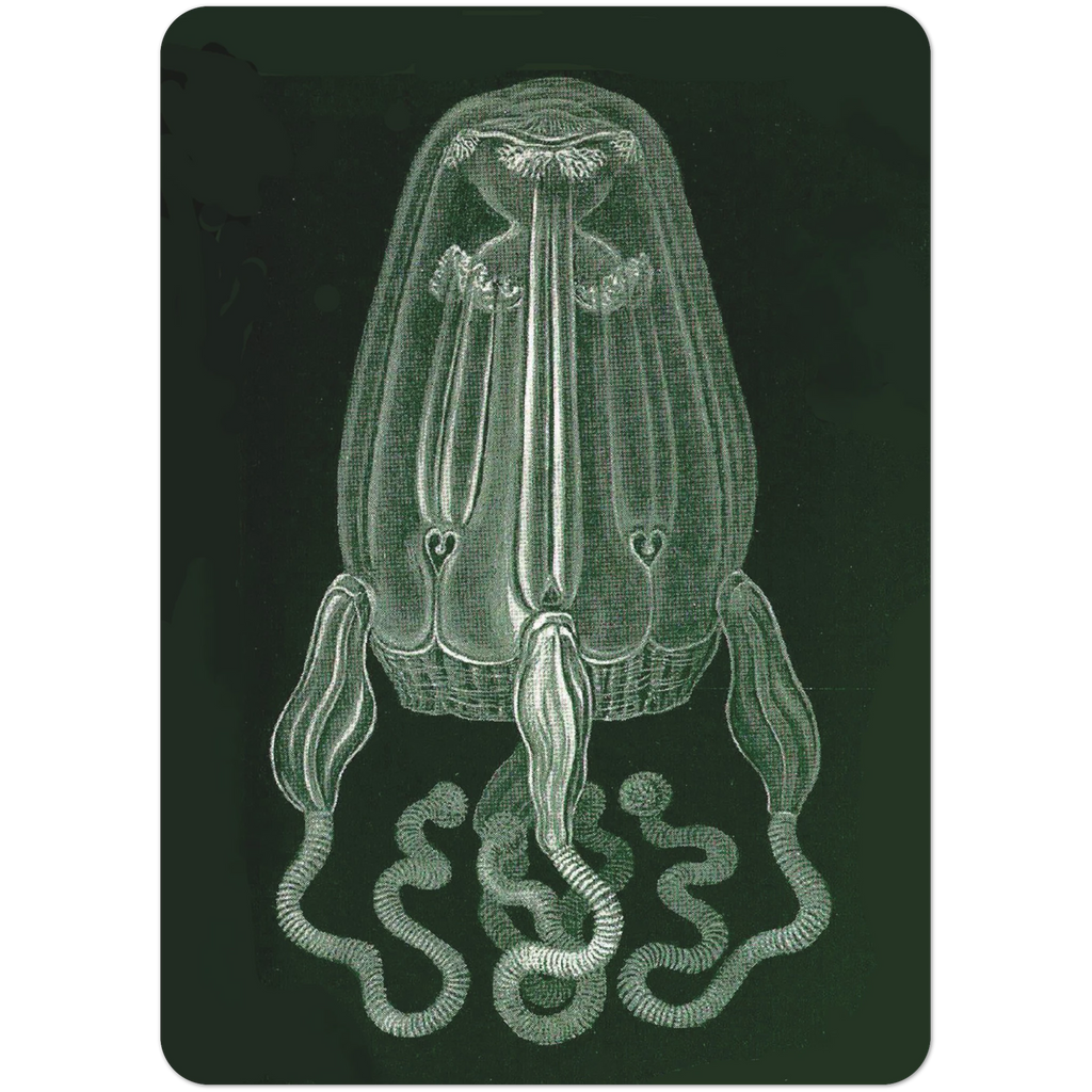 fe328f3e-23b3-4aa3-99e9-4df0207b6e7e