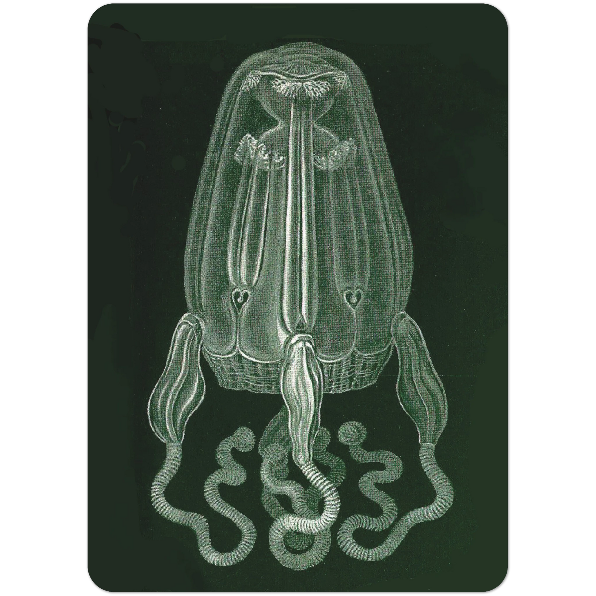 fe328f3e-23b3-4aa3-99e9-4df0207b6e7e