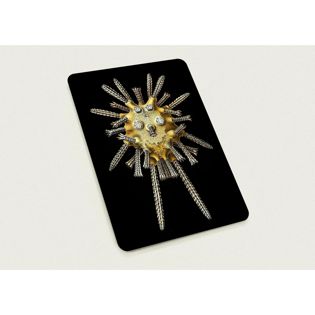 ff1544e5-f772-4098-bd7b-2cc41ffdf509