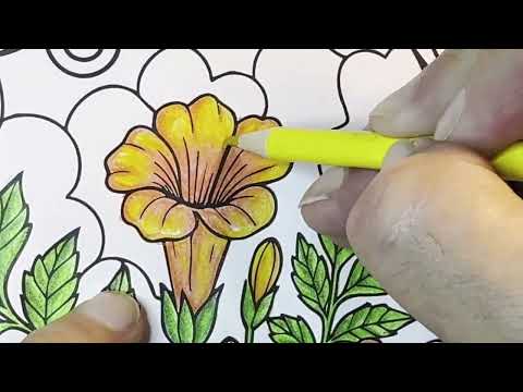 Beautiful Weeds: Elevating Mindfulness and Belonging