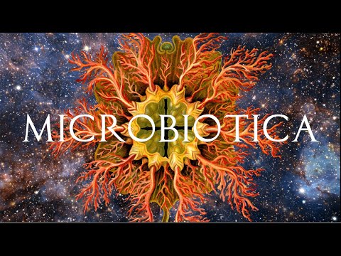 MICROBIOTICA: Unseen Worlds of Ernst Haeckel